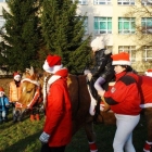 Mikołaj i 